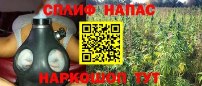 индика Бузулук
