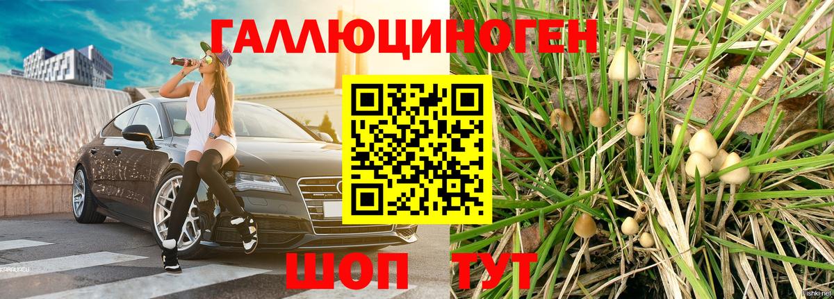 Псилоцибиновые грибы Cubensis  Вход с VPN  Псков 