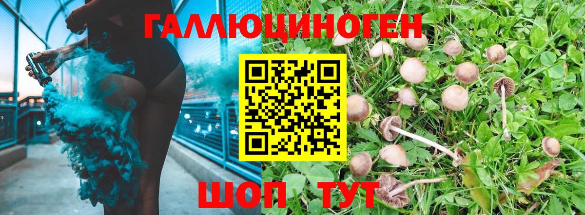 Псилоцибиновые грибы MAGIC MUSHROOMS Псков